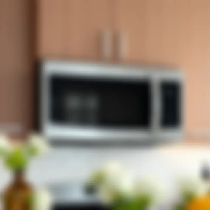 Sleek Design of Over-the-Range Microwave Sleek design of a 20-inch over-the-range microwave