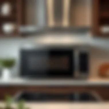 Innovative Technology Features of Over-the-Range Microwave Innovative technology features in a 20-inch microwave