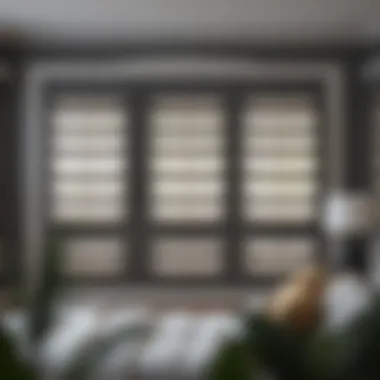 Magnificent Handy Home Products: A Deep Dive into Window Shutters