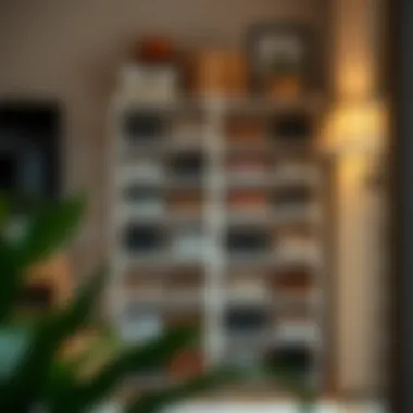 Customization of Adjustable Shoe Rack for Personal Needs A user customizing an adjustable shoe rack to fit their unique storage needs.