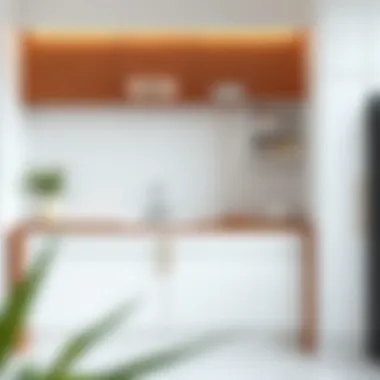 Modern kitchen design showcasing functional sink-cabinet combination