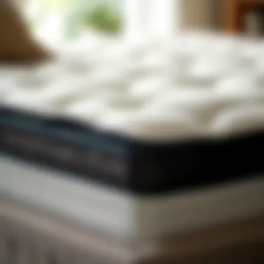 Box Spring Construction Insights Close-up view of durable box spring construction