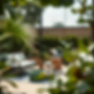 Cozy lounge area with contemporary garden chairs and greenery