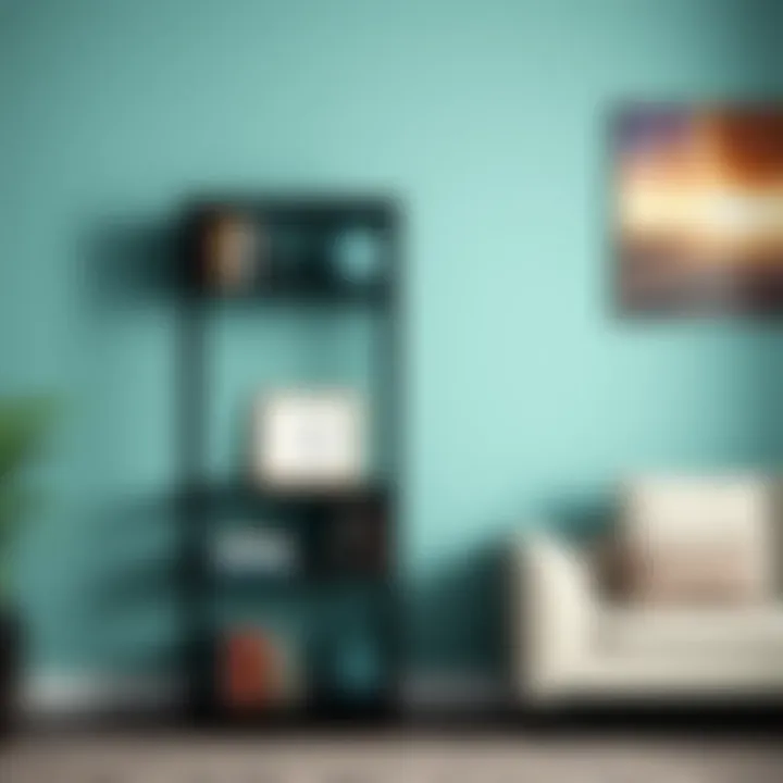 Notable Comprehensive Guide to Four-Tier Black Shelves