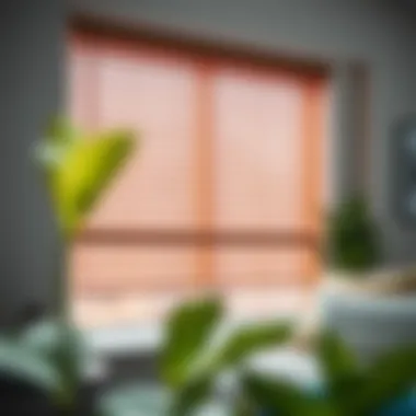 Essential Care Guide for Window Treatments Maintenance tips for window blinds