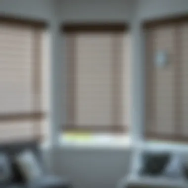 Diverse Material Options for Window Blinds Variety of materials for window blinds