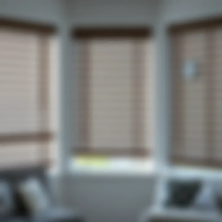 Diverse Material Options for Window Blinds Variety of materials for window blinds