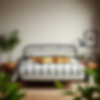 Inviting Atmosphere with Metal Bed Frame Cozy bedroom featuring a metal bed frame with headboard