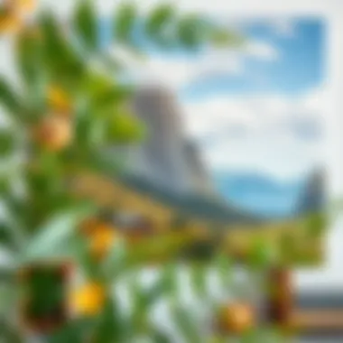 Nature's Palette: A Floral and Landscape Collage Nature-inspired collage showcasing landscapes and flora