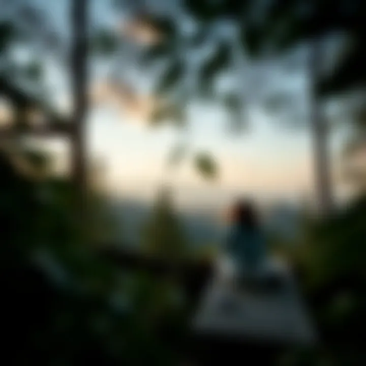 A scenic outdoor adventure showcasing nature