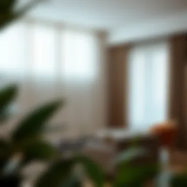 Minimalist Curtain Solutions for Modern Homes Contemporary curtain styles for minimalist aesthetics