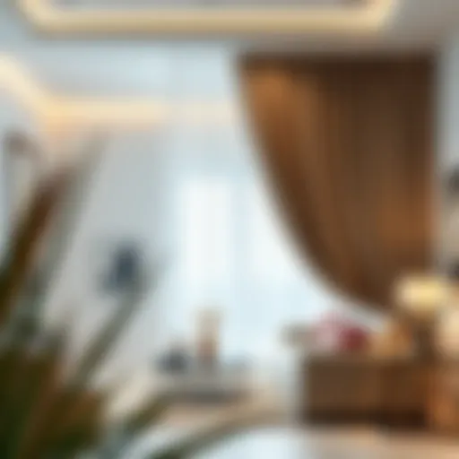 Sophisticated Curtain Design for Space Division Elegant curtain separator in a modern living room