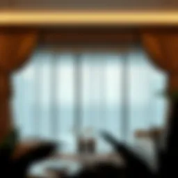Luxurious fabric drapes framing a panoramic window
