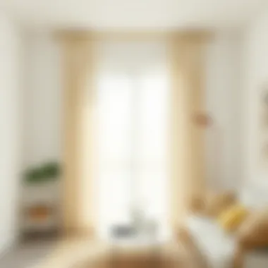Minimalist Sheer Curtains for Natural Illumination Minimalist sheer curtains allowing natural light