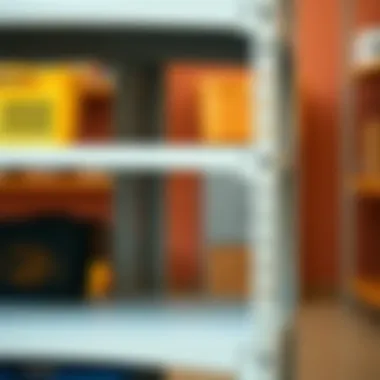 Durable Design of Plastic Shelving A close-up of a portable plastic shelving unit showcasing its durable design.