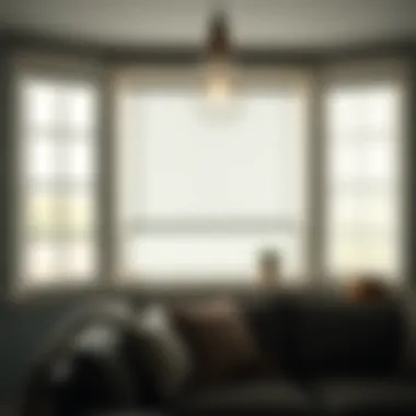 Installation on a Window Installation of 51 inch wide mini blinds on a window