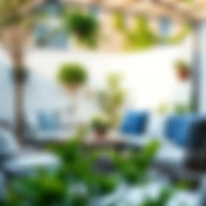 Stylish backyard seating area with coordinated cushions