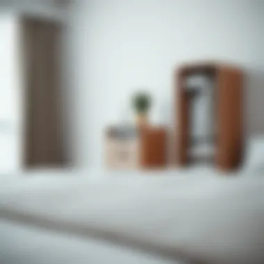 Sleek Minimalist Organizer Sleek minimalist organizer in a contemporary bedroom