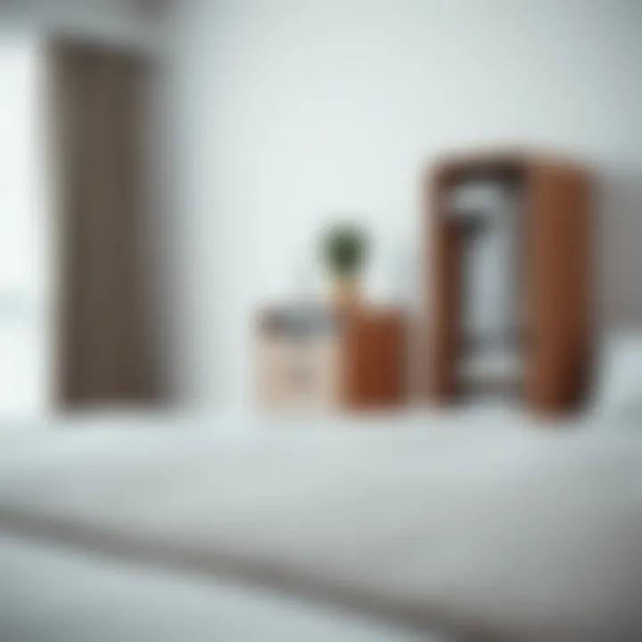 Sleek Minimalist Organizer Sleek minimalist organizer in a contemporary bedroom