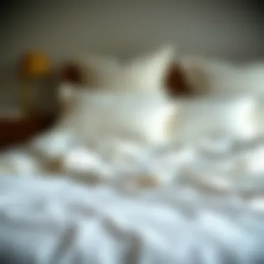 Visual Maintenance Tips for Cotton Duvet Covers Maintenance tips for thin cotton duvet covers laid out visually