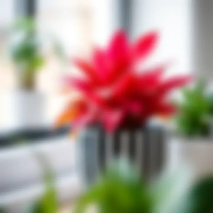 A vibrant plant thriving in a black and white striped pot