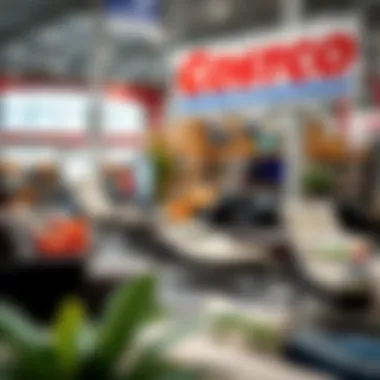 Exploring Costco's Selection of Indoor Chaise Lounges Summary Exploring Costco's Selection of Indoor Chaise Lounges Summary