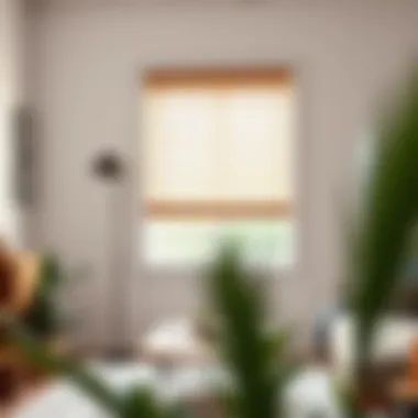 Stylish Wooden Blinds in Minimalist Space Stylish wooden blinds with a modern aesthetic in a minimalist space