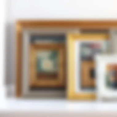 Material Options for Picture Frames Detailed view of various material options for 28 x 32 picture frames