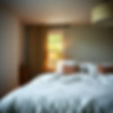 Stylish Bedroom with No-Tie Duvet Stylish bedroom featuring a no-tie duvet cover