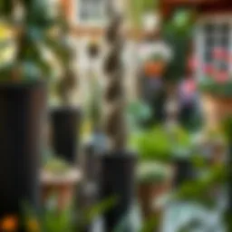 Elegant display of extra tall garden pots in a vibrant garden setting