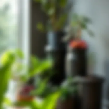 Thriving Plants in Tall Containers Variety of plants thriving in extra tall garden containers showcasing growth