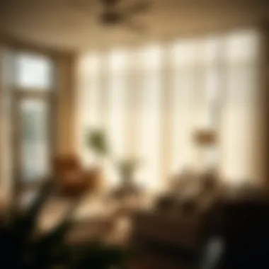 A well-lit living space showcasing the interplay of light with sheer curtains and roller shades