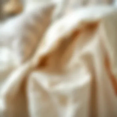 Close-up of luxurious linen texture used in king bed skirts