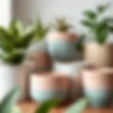 A selection of elegant ceramic house plant pots in various colors and sizes.