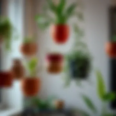 Stylish Hanging Plant Pots An assortment of stylish hanging plant pots adding vertical interest to indoor spaces.