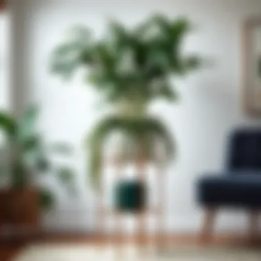 Notable Exploring Plant Stand Planters: A Comprehensive Guide Notable Exploring Plant Stand Planters: A Comprehensive Guide