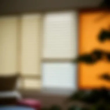 Diverse Blinds: Materials and Styles A variety of blinds illustrating different materials and styles