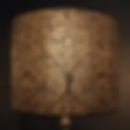 Elegant clip lamp shade showcasing intricate patterns