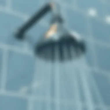 Maintenance Tips for Shower Heads Maintenance tips for shower heads