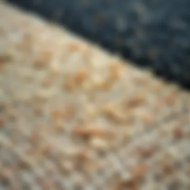 Intricate Textures of a 4 x 5 ft Rug Close-up of unique textures of a 4 x 5 ft rug