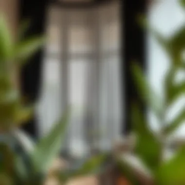 Exploring the Aesthetics and Functionality of Large Black Curtains Introduction Exploring the Aesthetics and Functionality of Large Black Curtains Introduction