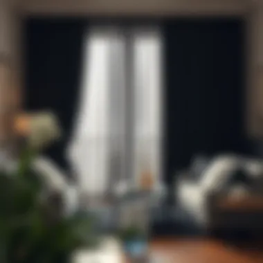 Exploring the Aesthetics and Functionality of Large Black Curtains Summary Exploring the Aesthetics and Functionality of Large Black Curtains Summary