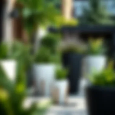 Stylish Outdoor Planters in a Garden Environment Stylish outdoor black and white planters enhancing a garden setting.