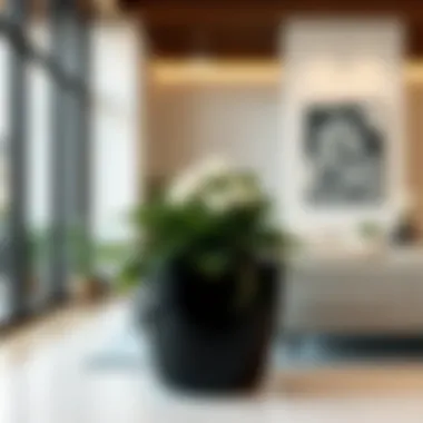 Elegant Black and White Planter in Contemporary Decor Elegant black and white flower planter showcased in a modern living room.