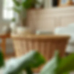 Exploring the Complementary Roles of Basket in Modern Furniture Design Introduction