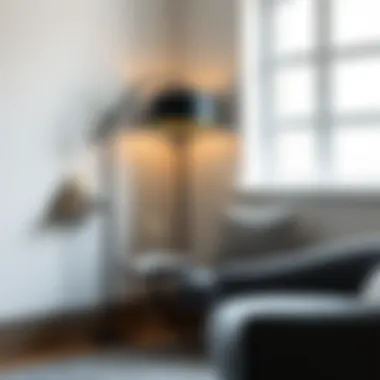 Dark Grey Floor Lamp Enhancing a Reading Corner Dark grey floor lamp creatively placed in a cozy reading nook