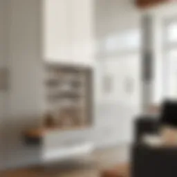 Elegant slide-out cabinet showcasing modern design.