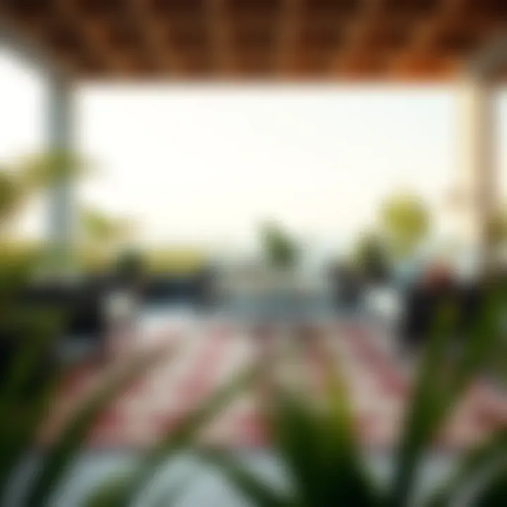 Luxurious Outdoor Rug in a Patio Setting A luxurious outdoor rug enhancing a patio space