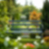 Elegant Black Garden Bench in Lush Setting Elegant black garden bench set against a lush garden backdrop