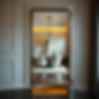 Elegant Reflection in Contemporary Spaces Elegant full length mirror reflecting modern decor